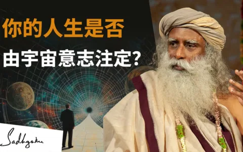你的人生是否由宇宙意志注定？