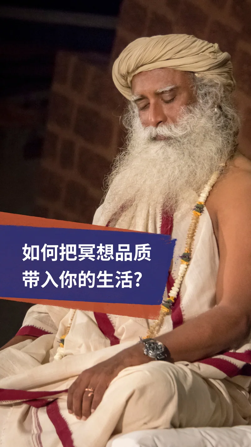 把冥想品质带入你的生活