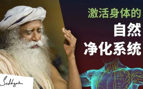 激活身体的自然净化系统